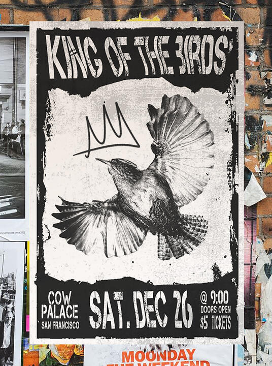 Concert Poster | 25 x 37 in (2025) Adobe Photoshop