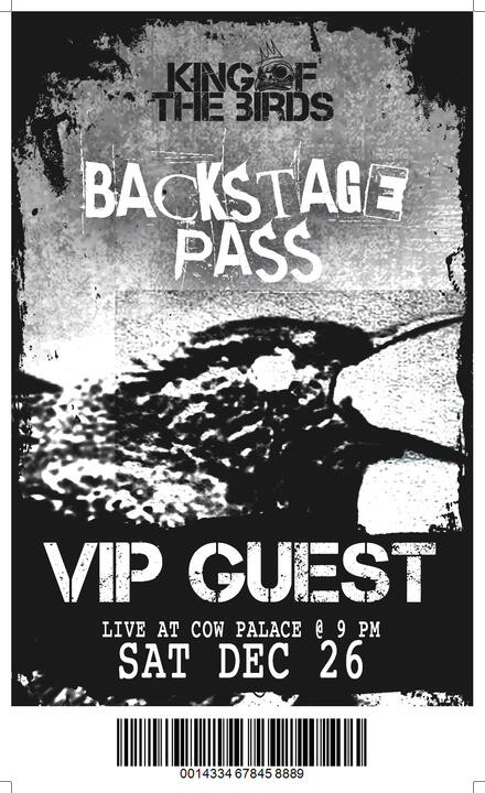 Concert VIP Guest Pass | 3 x 5 in (2025) Adobe Photoshop