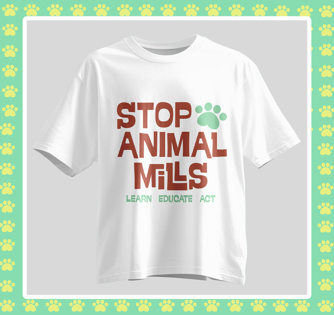 T-Shirt Mockup | (2026) Adobe Photoshop