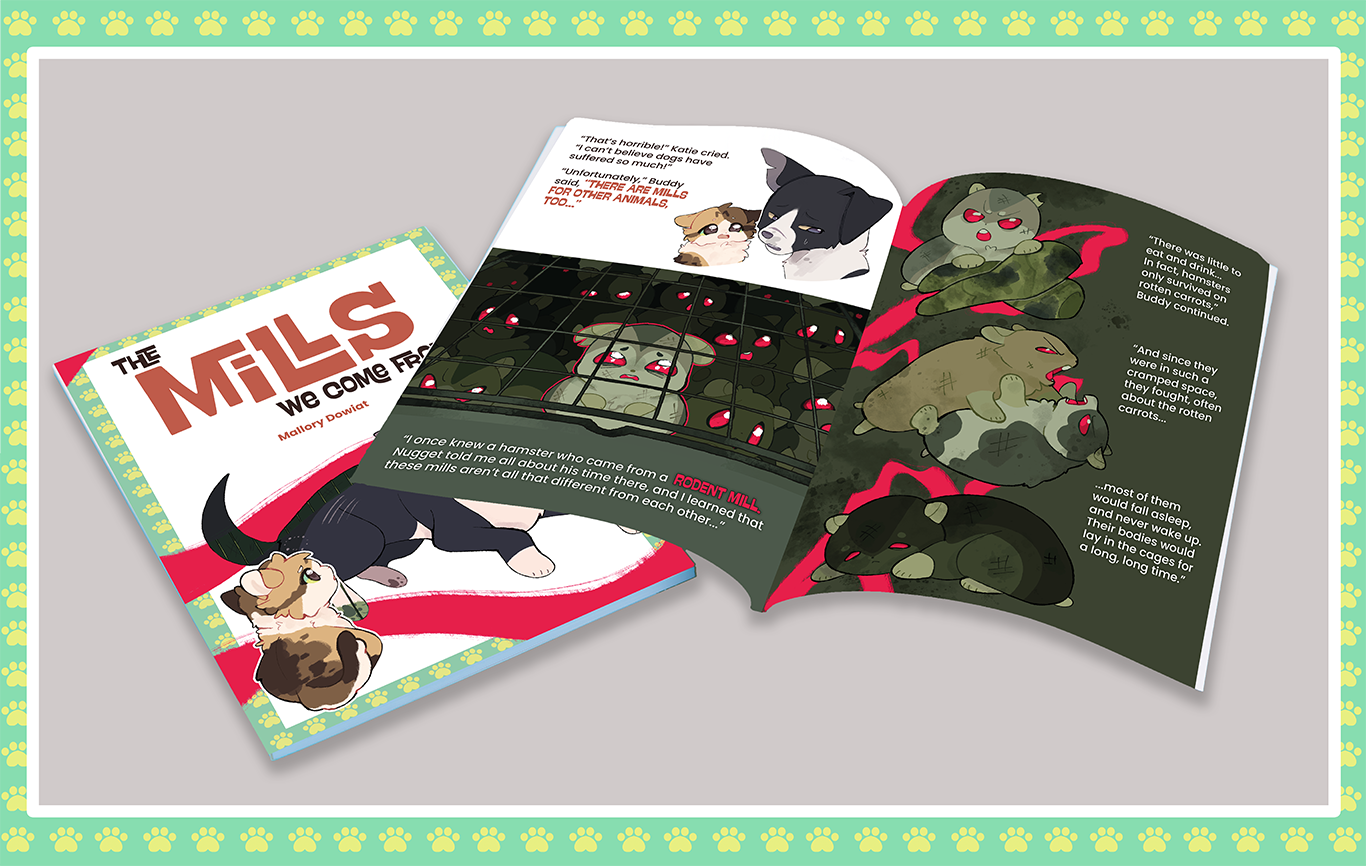 Book Mockup | 8.5 x 11 in (2026) Clip Studio Paint, Adobe InDesign