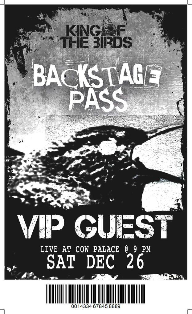 Concert VIP Guest Pass | 3 x 5 in (2025) Adobe Photoshop