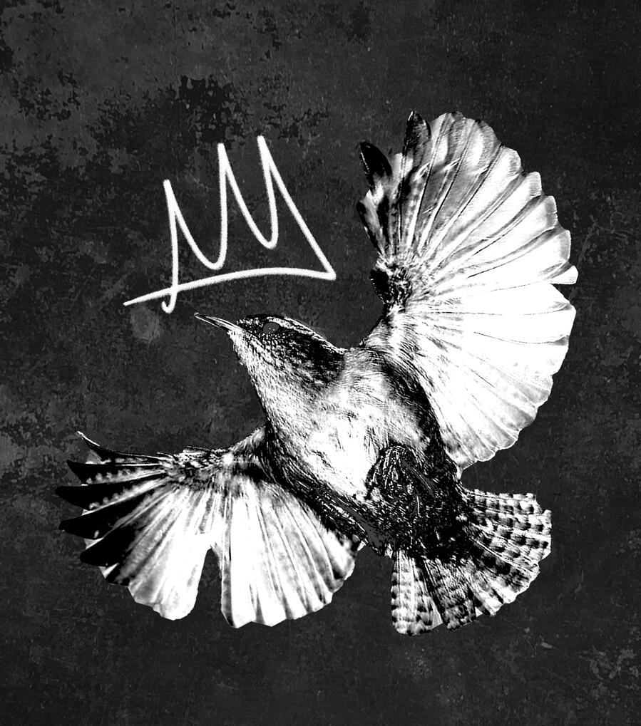 Grunge Band Logo T-Shirt Design | 8 x 8 in (2025) Adobe Photoshop